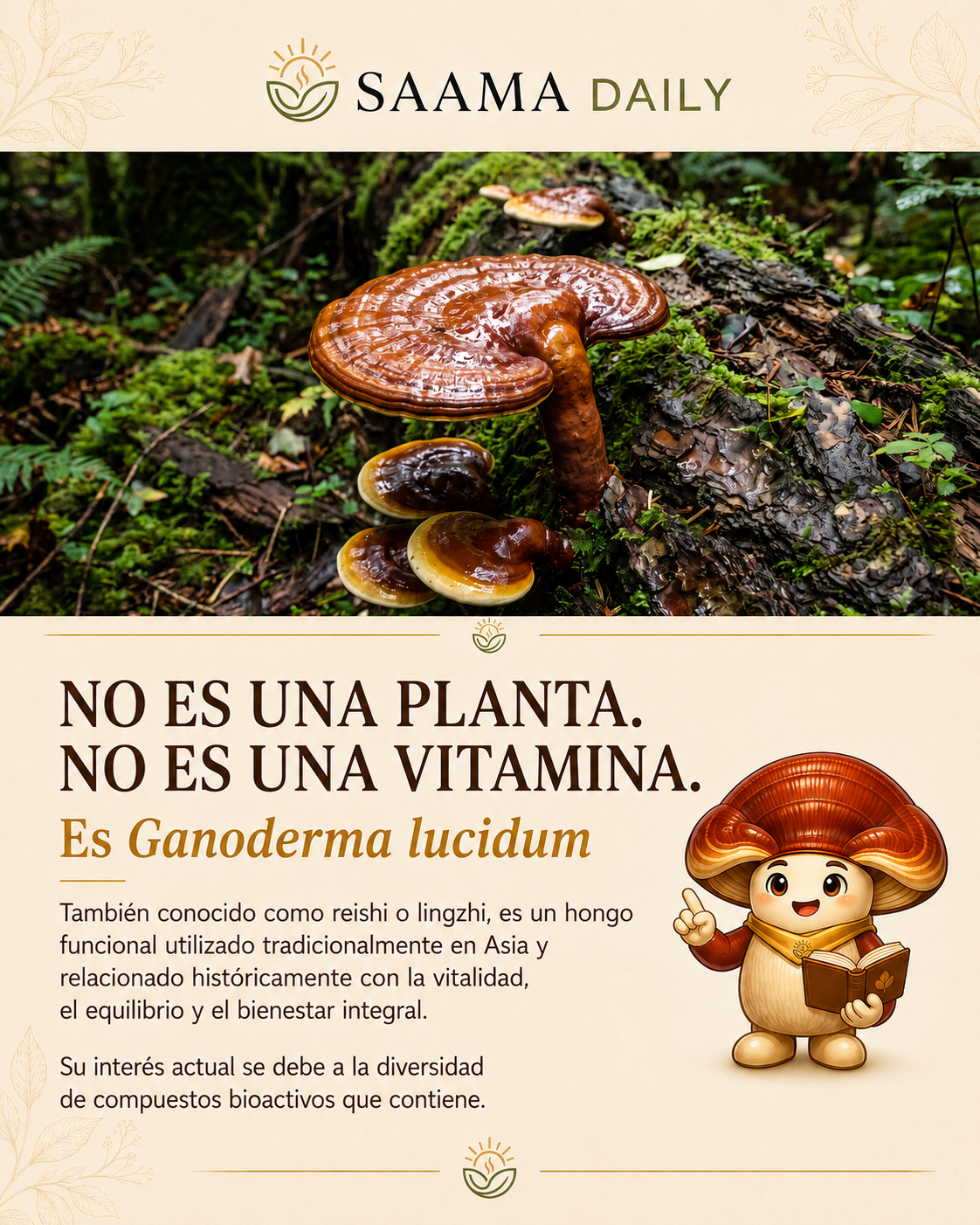 Hongo ganoderma